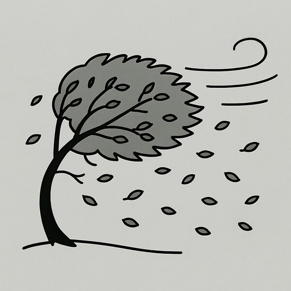 A tree bending in strong wind